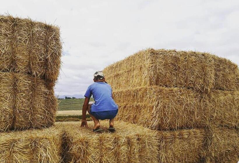 Blou Porselein Guestfarm