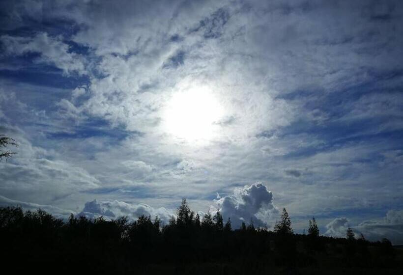 Blou Porselein Guestfarm