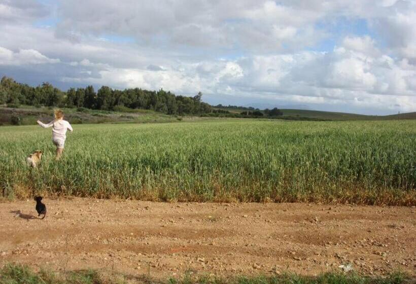 Blou Porselein Guestfarm