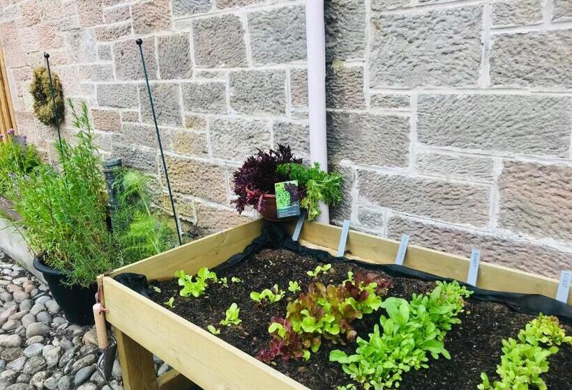 Brylach Steading