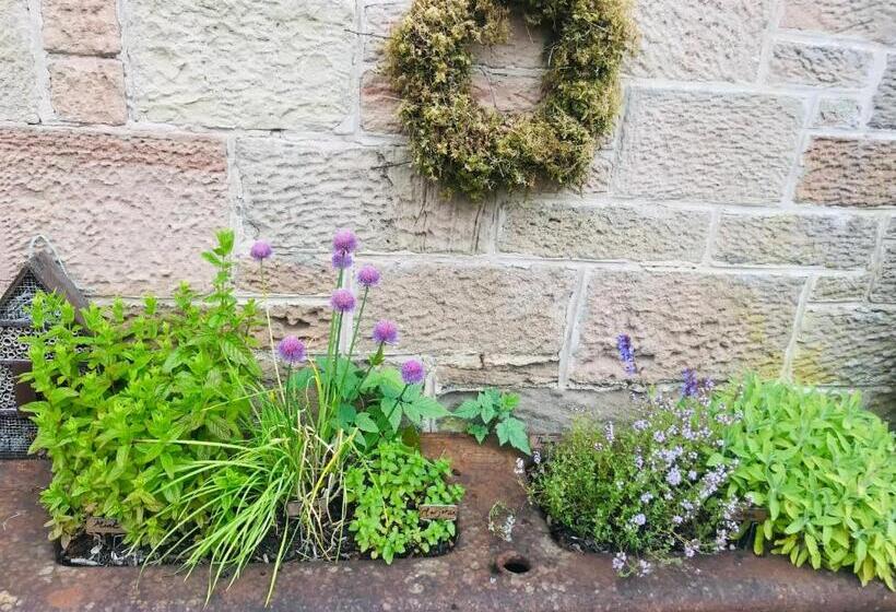 Brylach Steading