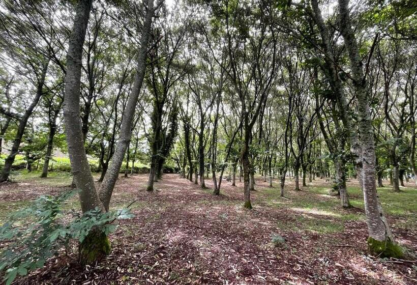 Preciosa Casa Con Piscina Y Bosque Privados En Sigüeiro, Santiago De Compostela