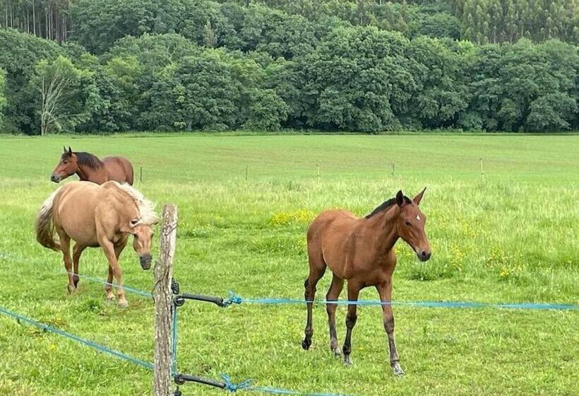 Preciosa Casa Con Piscina Y Bosque Privados En Sigüeiro, Santiago De Compostela