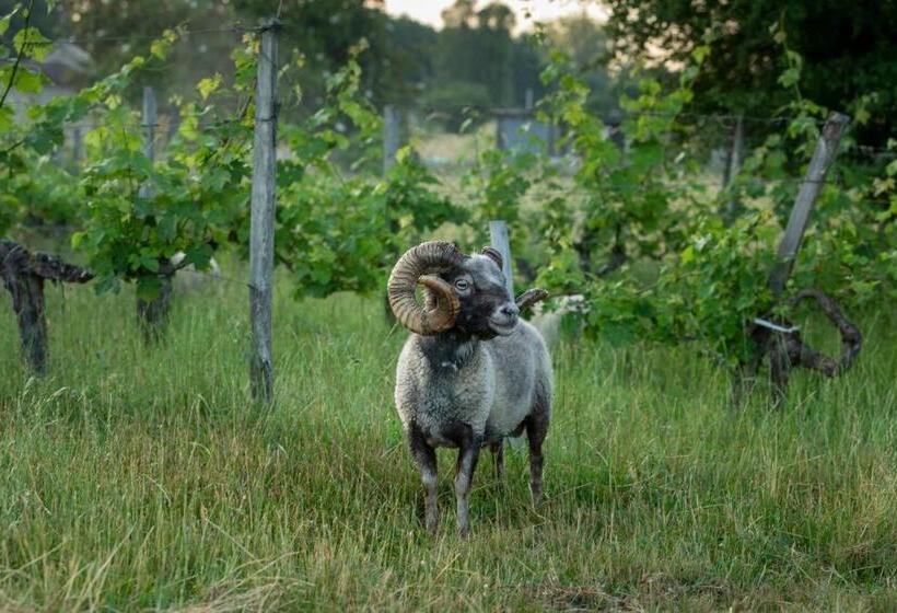 Countryhome At Winery Chateau Camponac