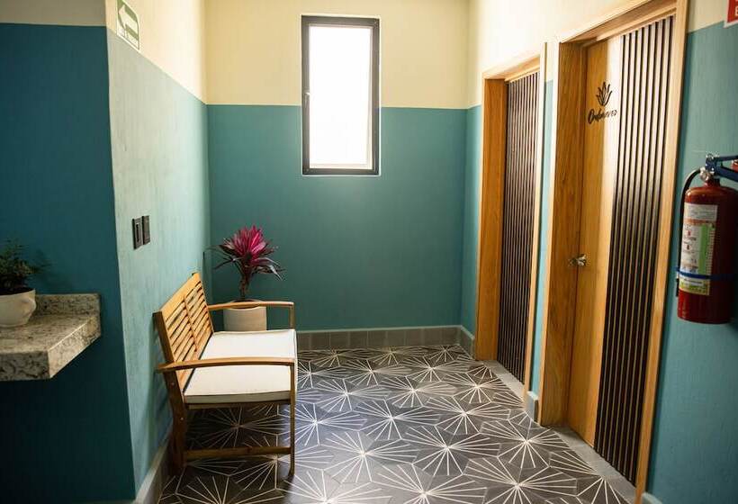 호텔 Casa Jima Agave