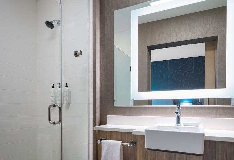 호텔 Springhill Suites By Marriott Charlotte Airport Lake Pointe