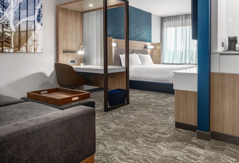 호텔 Springhill Suites By Marriott Charlotte Airport Lake Pointe