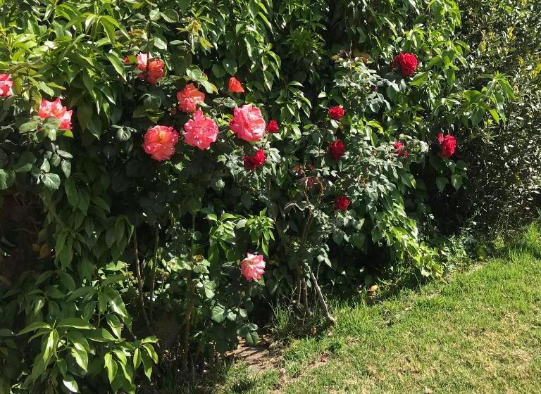 La Casona 6ta Sección Residencial, Ciudad De Mendoza