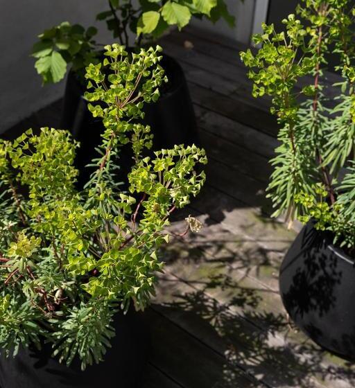 Luxuryapartmentsoulforcity