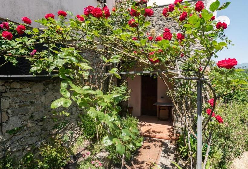 Nearby 5 Terre Lovely Mansarda