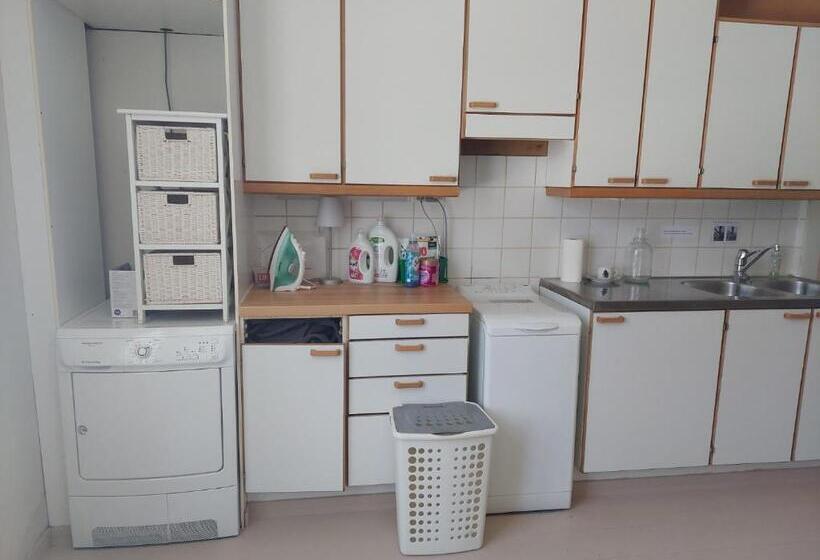 Nostalgista Majoittumista Taiteilijatalo Taideniityn Auringossa Tai Niityssä