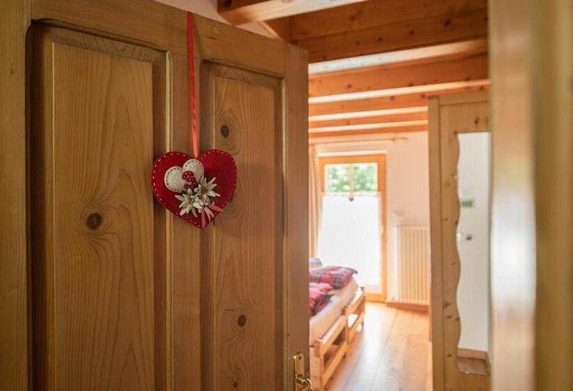 بنسيون Moie Camere