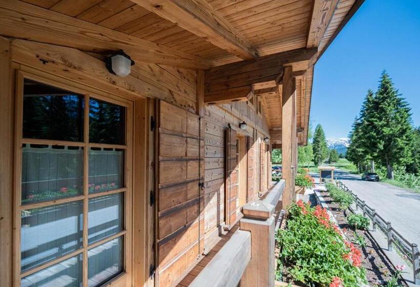 بنسيون Moie Camere