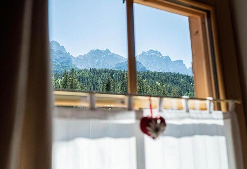 بنسيون Moie Camere