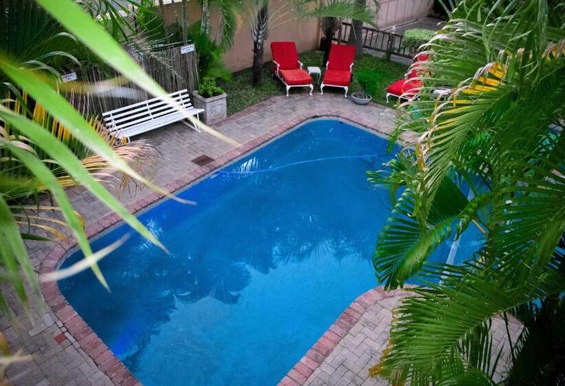 Пансион Tengo Guest House