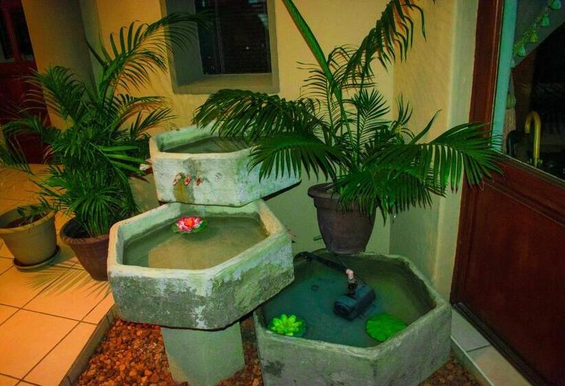 Пансион Tengo Guest House