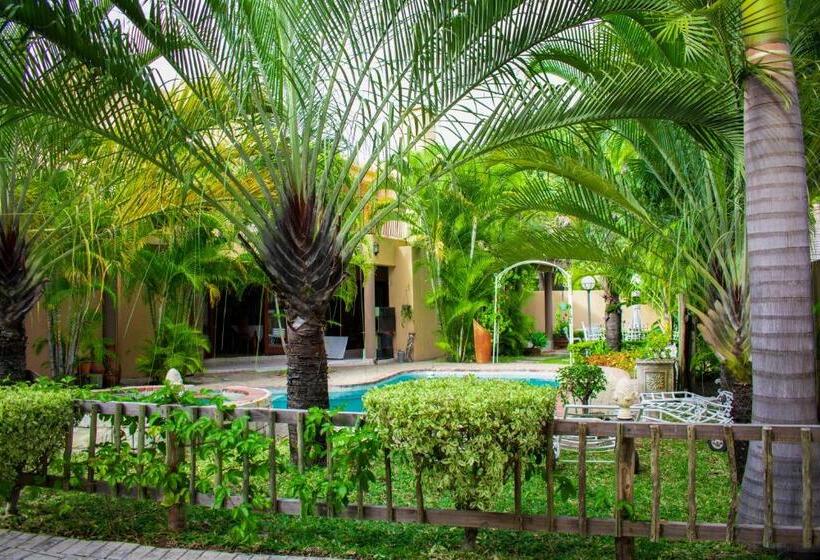 Пансион Tengo Guest House