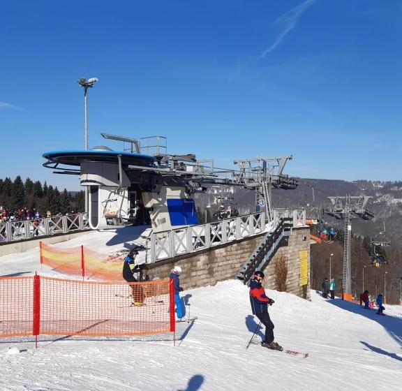 פנסיון Ubytování U Janičky