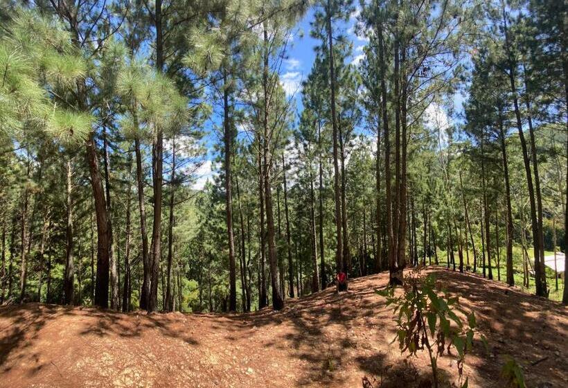 ペンション Uva Escape Holiday Bungalow