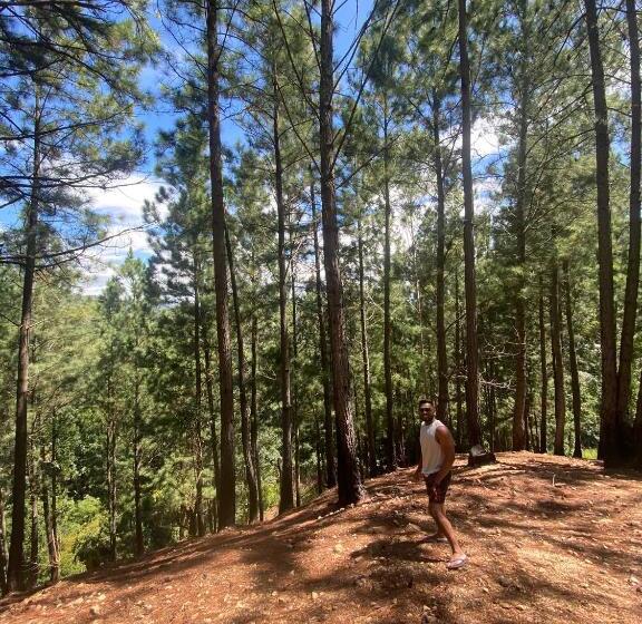 ペンション Uva Escape Holiday Bungalow