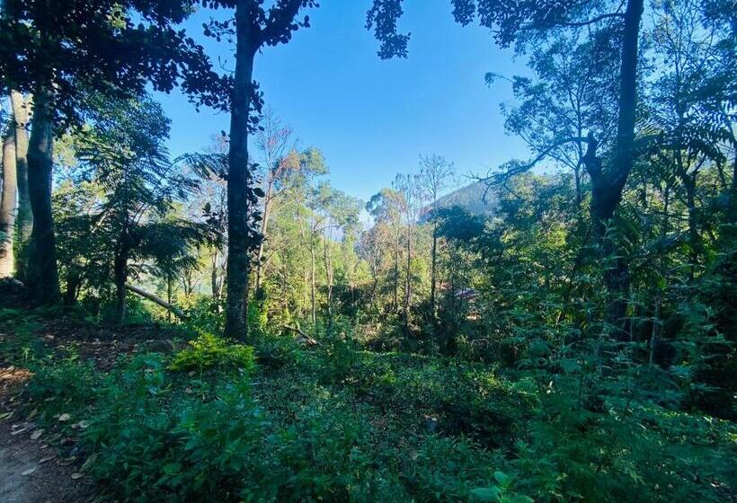 ペンション Uva Escape Holiday Bungalow