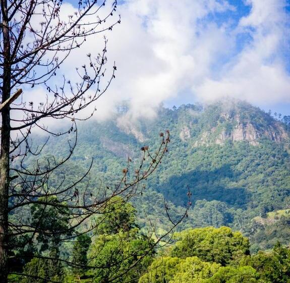 ペンション Uva Escape Holiday Bungalow