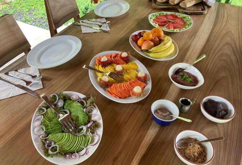 אתר נופש Pura Vida Vegana