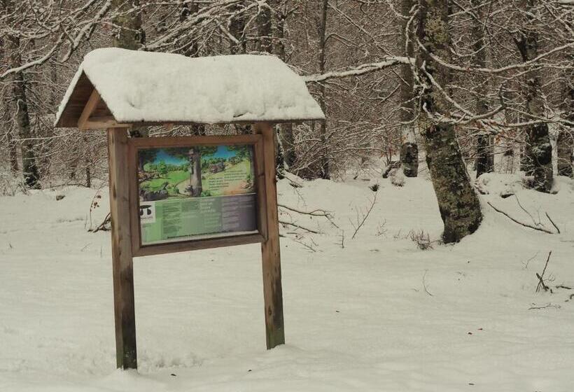Apartamentos Herri Ondo Refugio Climatico