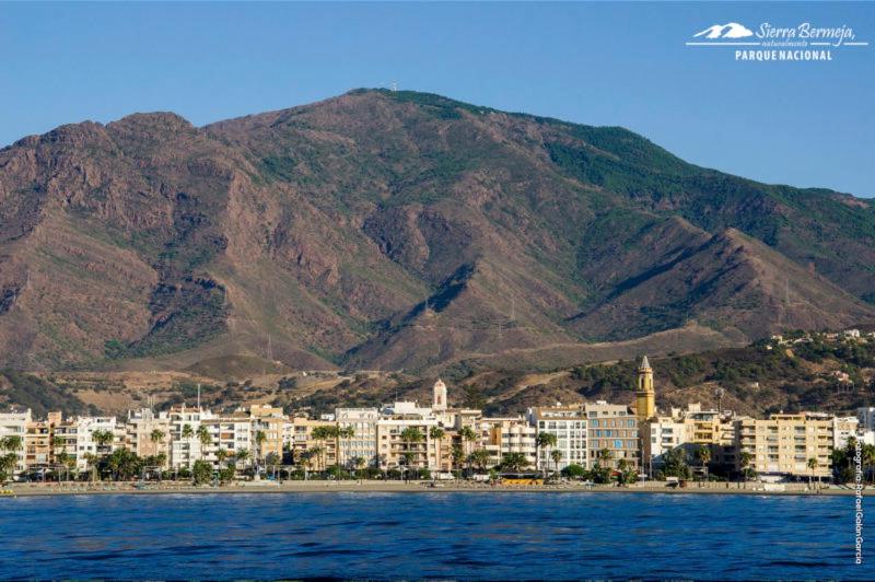 Apartamentos La Libertad Estepona