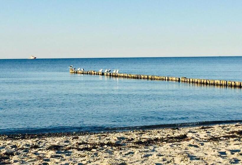 Aparthotel Waterkant Suites Fewos Am Meer Mit Spa