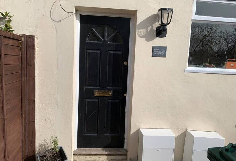 Bright And Beautiful City Cottage With Courtyard