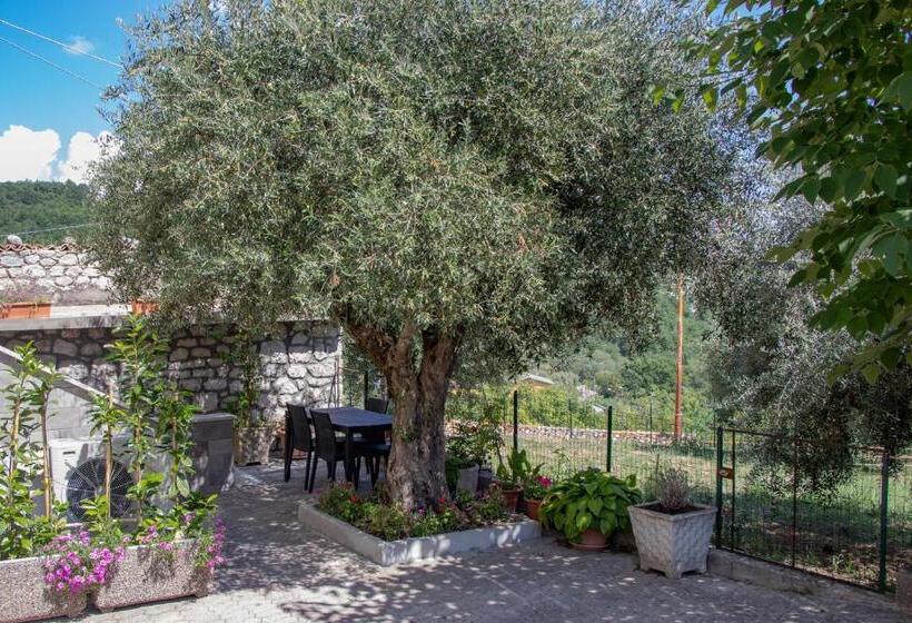 Casa Degli Ulivi Con Parcheggio Privato