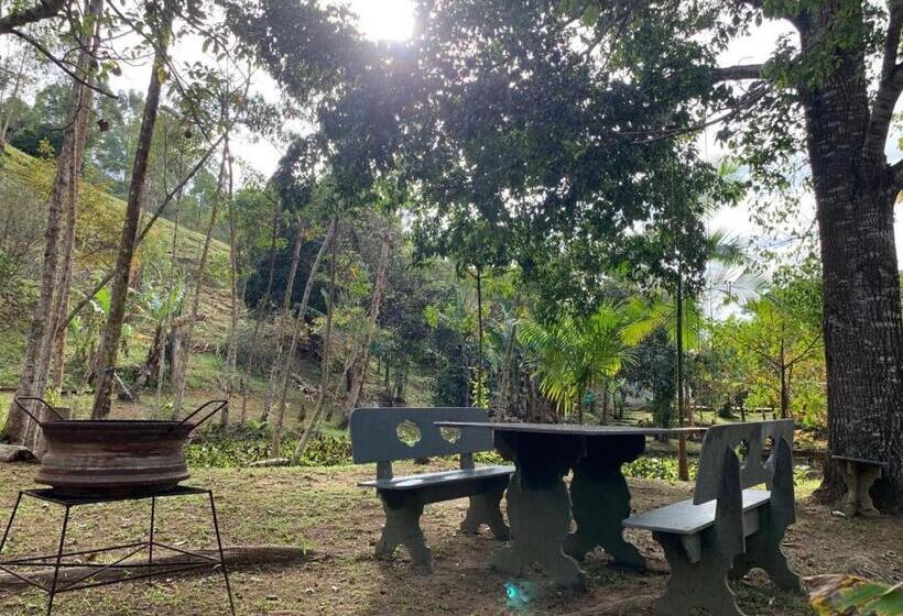 Casinhas Em Terras Frias