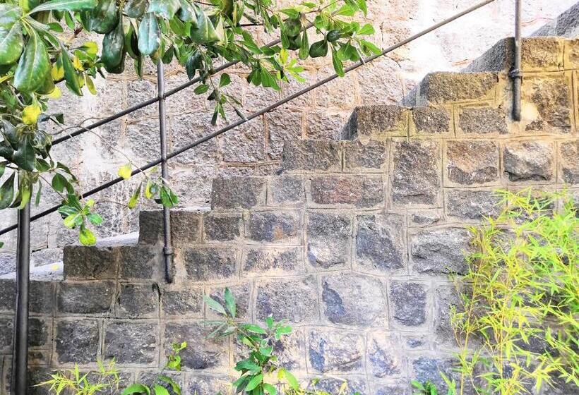 Cozy Corner In Ischia City Center