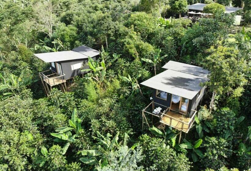 호텔 La Palma Y El Tucán   Café Y Naturaleza