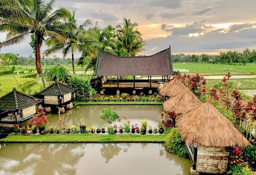 ホテル Lesehan Cahaya Tetebatu Inn Syariah At Desa Wisata