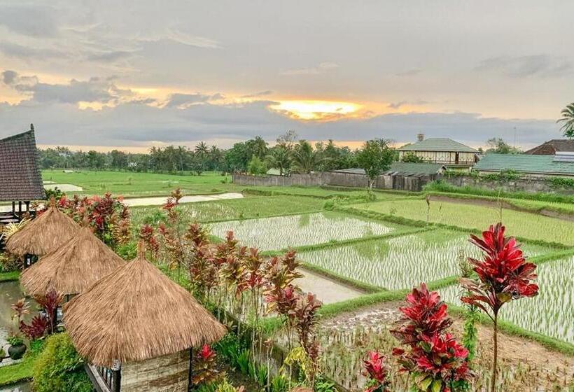 ホテル Lesehan Cahaya Tetebatu Inn Syariah At Desa Wisata