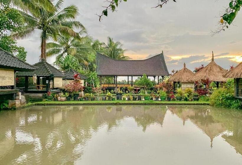 ホテル Lesehan Cahaya Tetebatu Inn Syariah At Desa Wisata