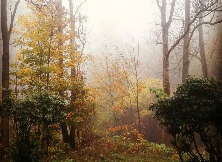 호텔 Villa Sunshine / Slunečna Vila