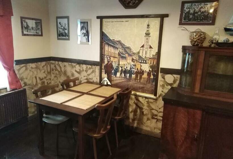 호텔 Villa Sunshine / Slunečna Vila