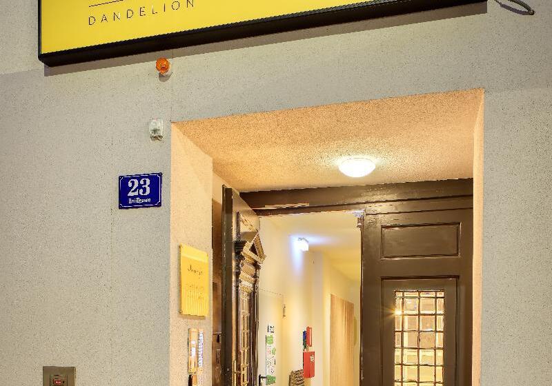 Jimmy S Apartments Dandelion