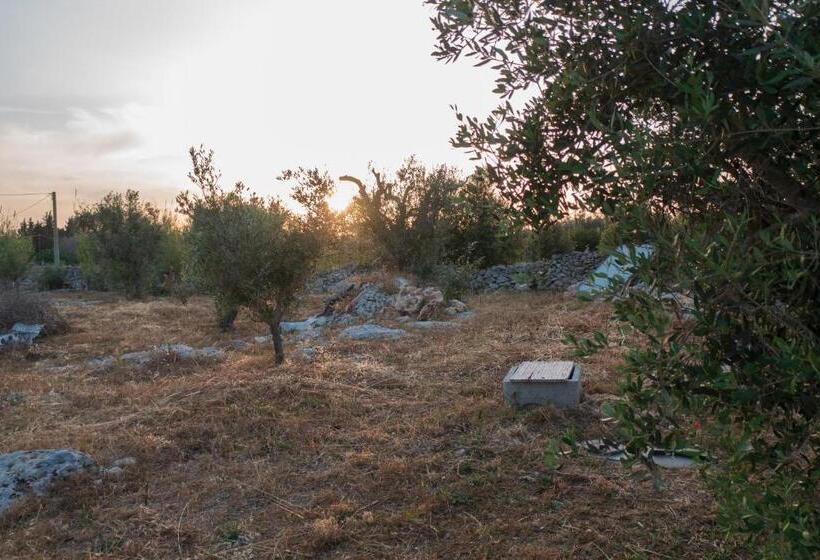 La Nicchia Trullo