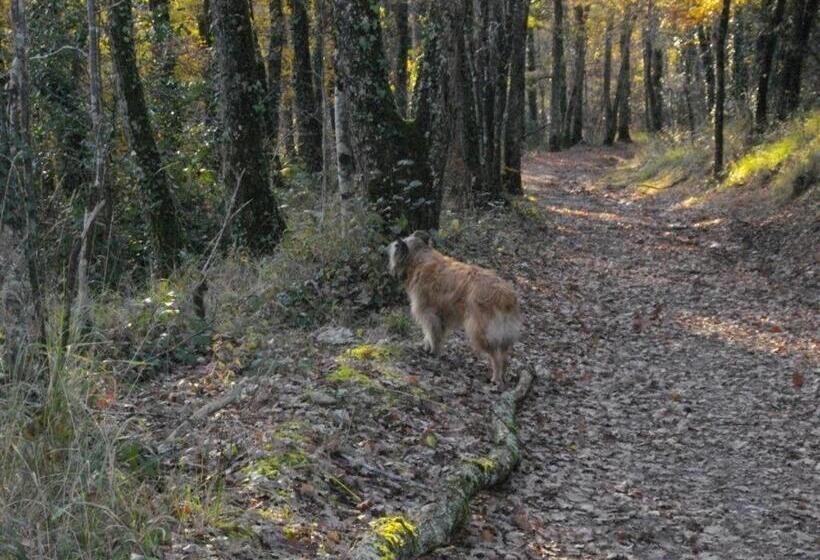 Les Hirondelles De Montsec