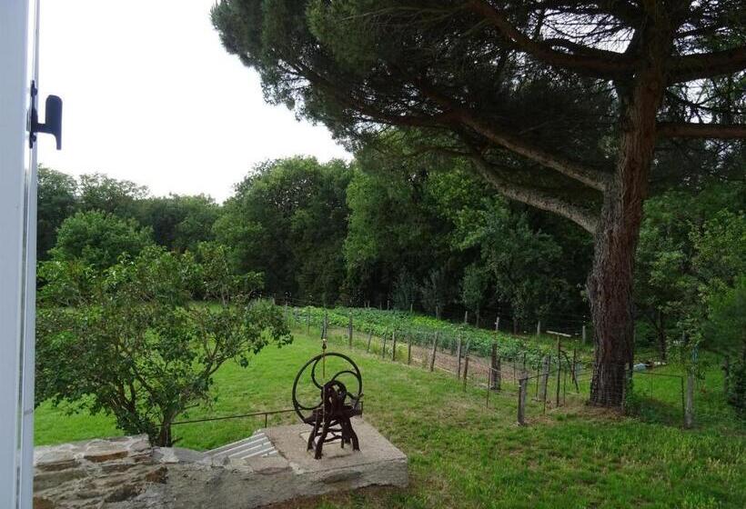 Les Hirondelles De Montsec