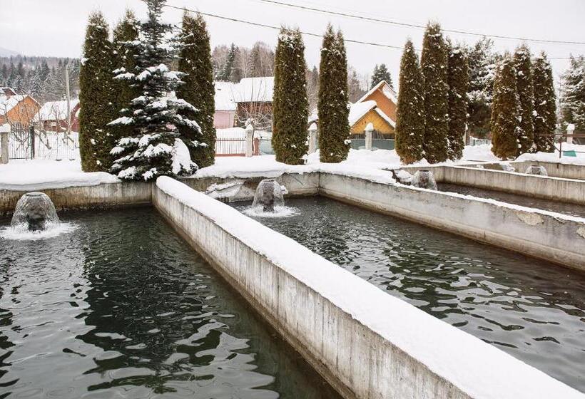 פנסיון Complex Pescăresc Gura Repezii Borșa