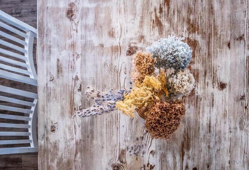 Pet Friendly House Opposite Bokarina Beach