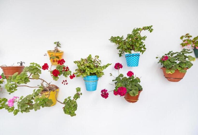 Piso Arquillo Del Reloj