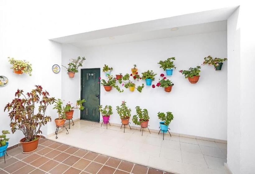 Piso Arquillo Del Reloj