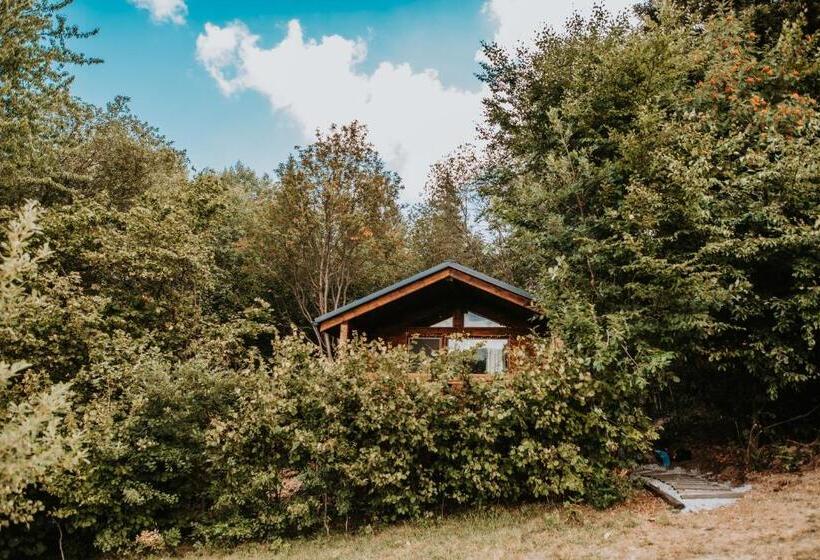 Romantické Ubytovanie Pre Dvoch V Lese