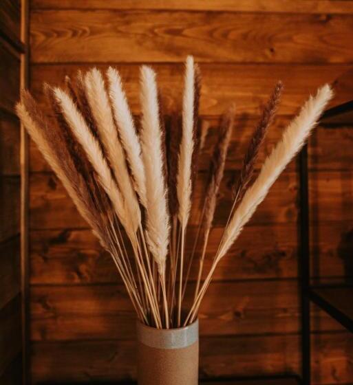 Romantické Ubytovanie Pre Dvoch V Lese